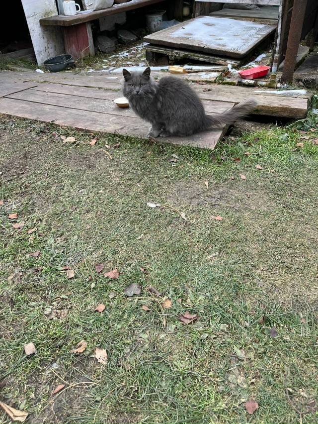 Чья красавица приходит столоваться на улице Советской...