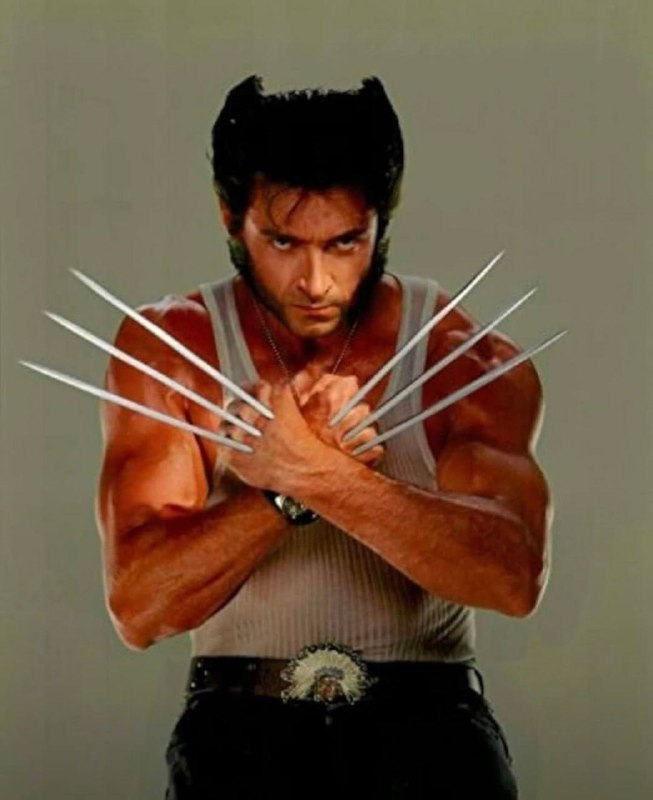 Котсомаха: Курочька. Начало