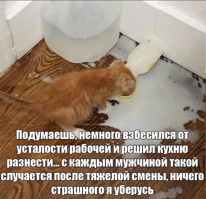 Утренняя подборочка