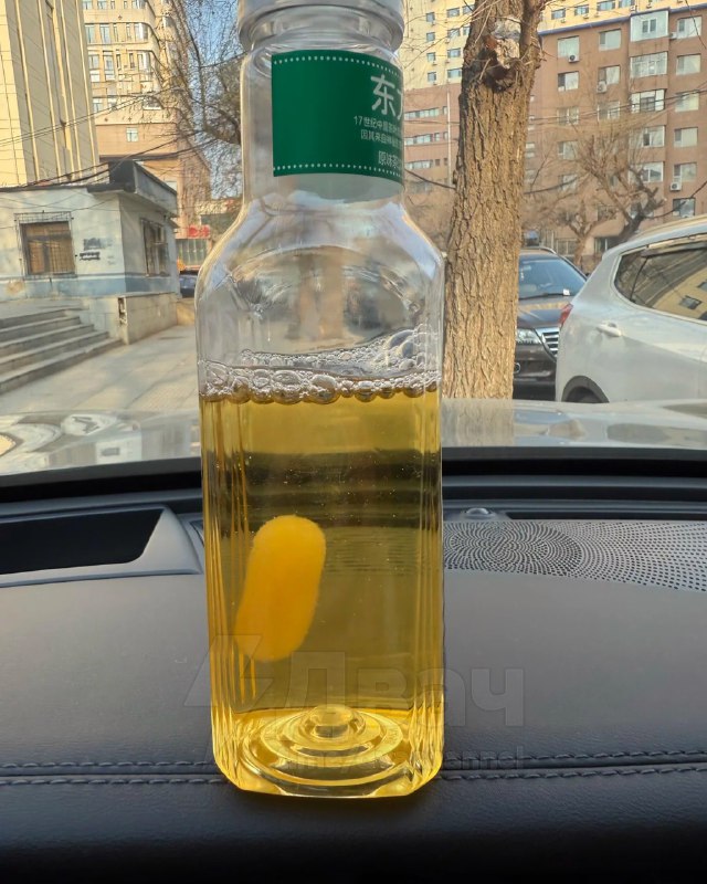 Китайцы начали заводить чайную плесень в качестве питомцев
Они покупают несладкий чай и оставляют б