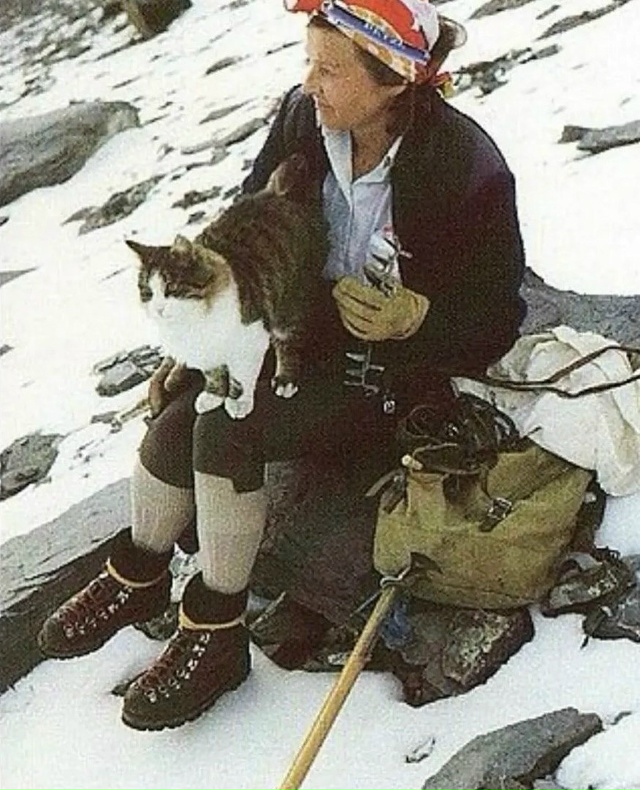 Познакомьтесь с Томбой — знаменитым котом-альпинисто?...