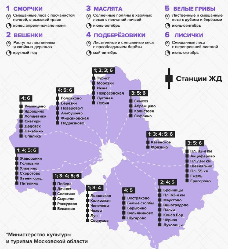 ?‍? Волна опят начинается в лесах московского региона Если будет тёплая осень и бабье лето, то мож