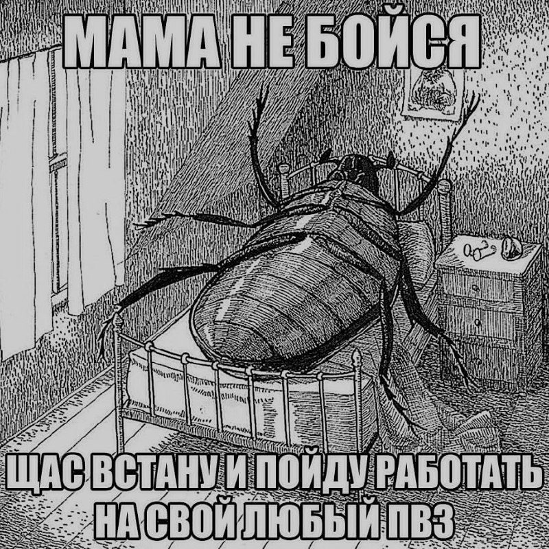 Ночная подборочка
Спать, режим