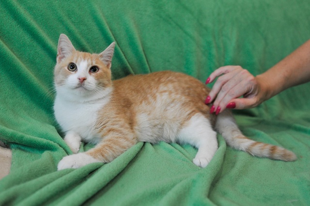 Санкт Петербург и ЛО! Признаюсь честно, но только ником...