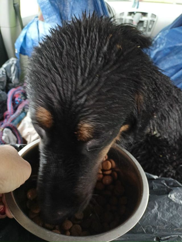 Админ и все неравнодушные люди , которые помогали нам в...