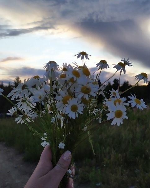 «лучшие дни ещё впереди»