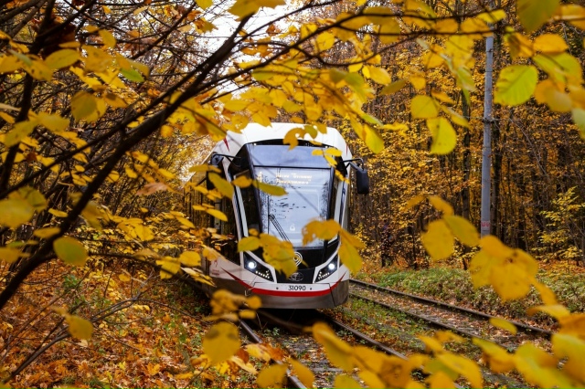 Золотая осень прощается с Нами, следующая остановка зи...