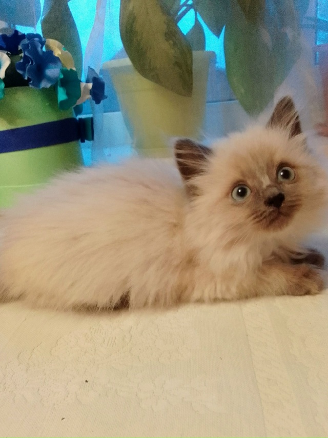 Обещаю сегодня цветы трогать, точно не буду😃