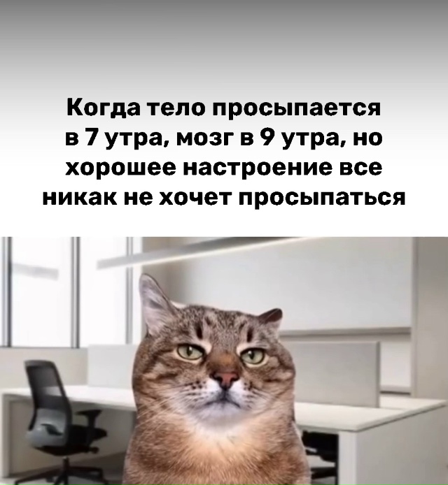 Понедельники — они такие