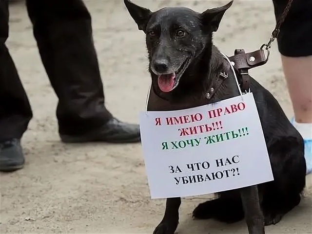 Несколько дней назад в группе размещали пост по поводу...