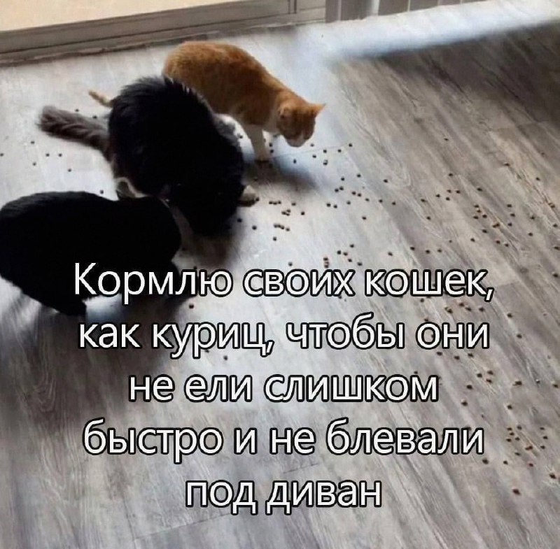 Утренняя подборочка