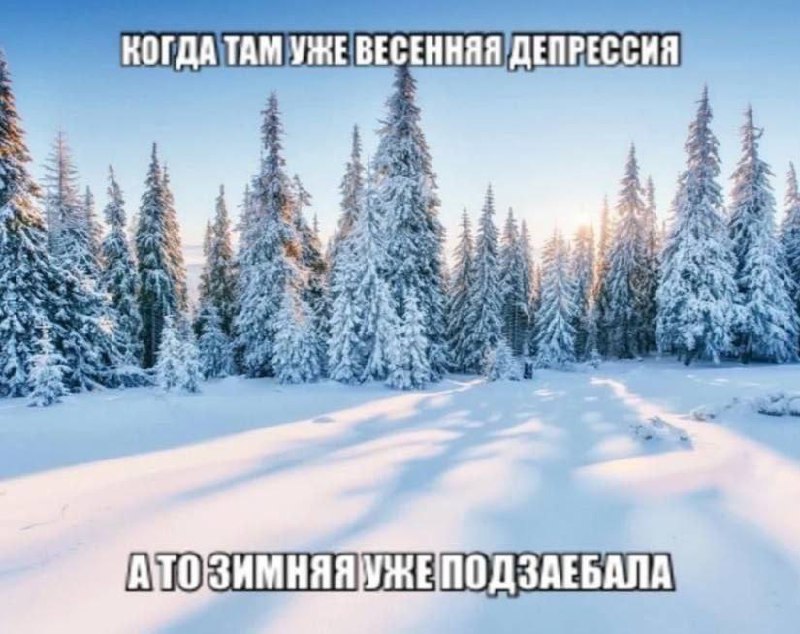 Утренняя подборочка