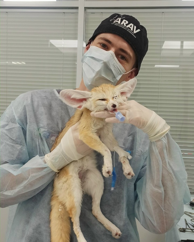 Ветеринарный врач из Петербурга Шевченко Матвей Олего...