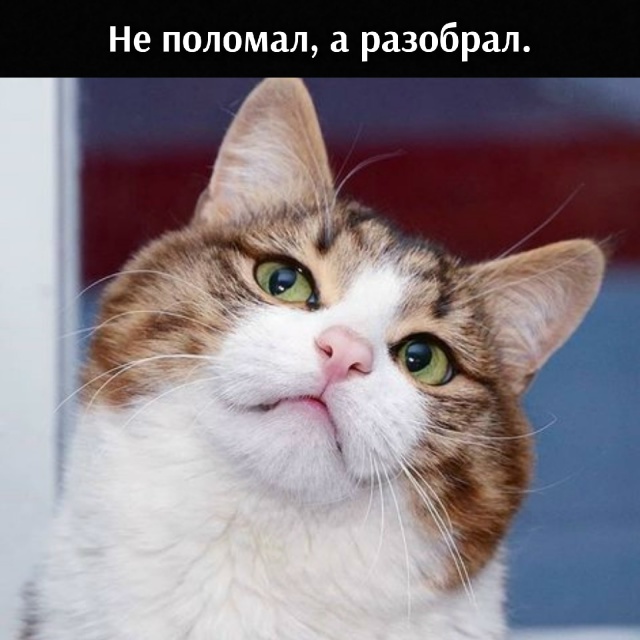 Да, хозяин, всё это сделал я, но с одним Но)))