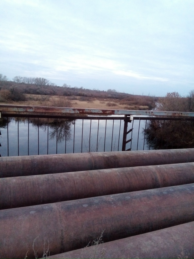 Немного позитива в ленту.На снимках-октябрь 2025 года на ...