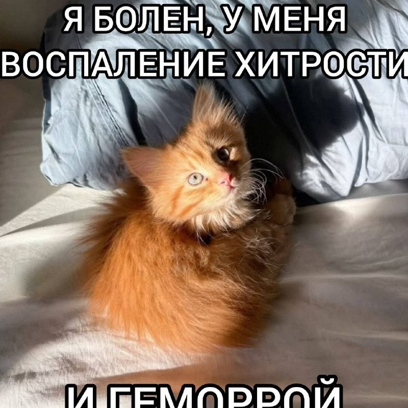 Утренняя подборочка