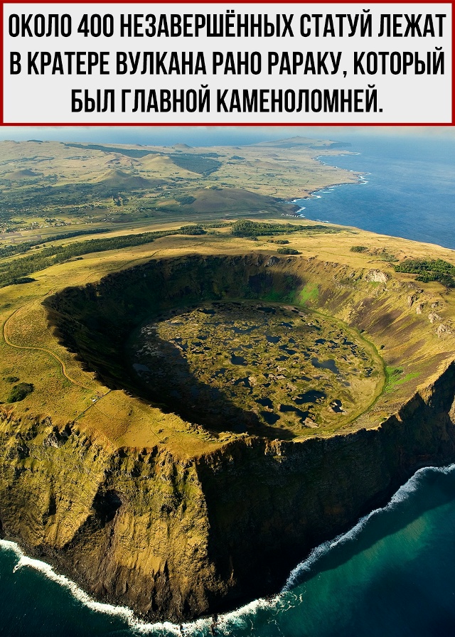 Вы много раз их видели, но мало что о них знаете.
Пора эт...