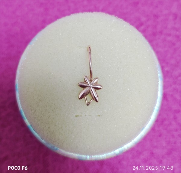 Анон. Сегодня вечером была утеряна золотая серёжка с ф?...