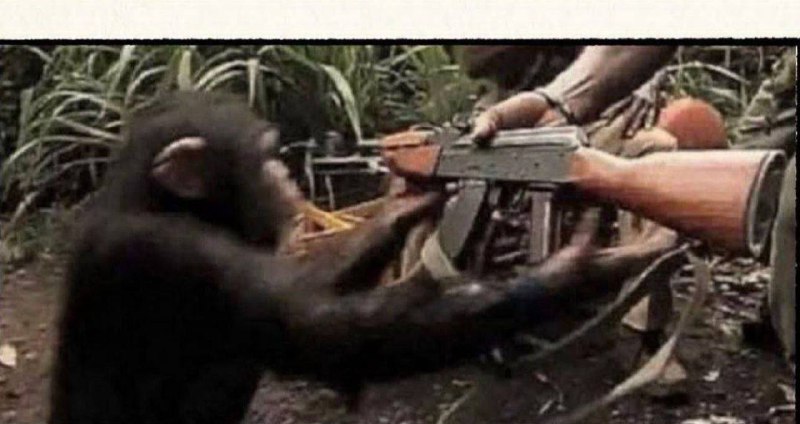 когда коллега без естественного интеллекта открыл для себя искусственный