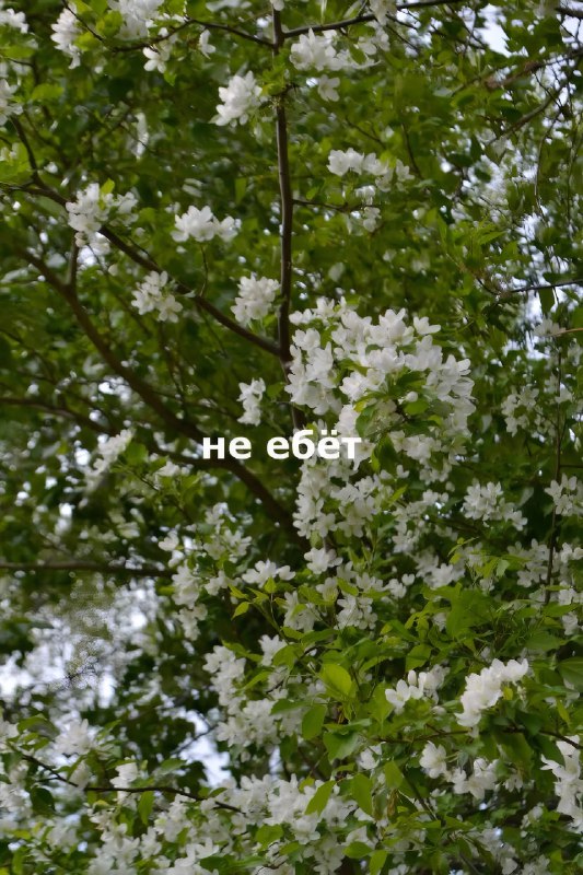 Ловите топовые обои на мобилу — с ними будет проще вывезти даже самые тяжёлые дни
Сохраняем и испол