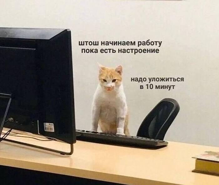 Трудоголизм может вызвать депрессию и даже рак.
Постоянная работа без отдыха и личной жизни держит