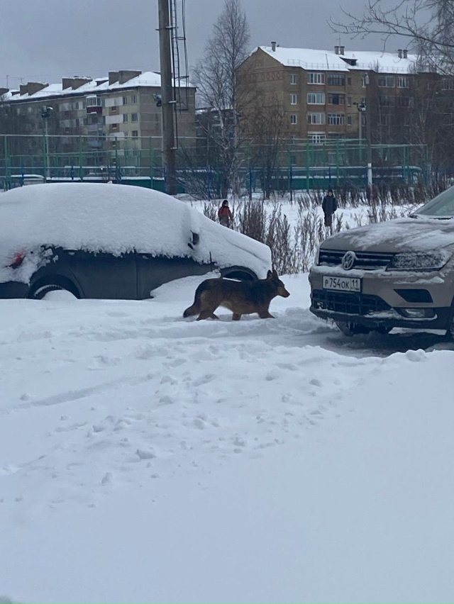 Прошу предупредить всех, что по адресу 6 мкр д 25 (сзади н...