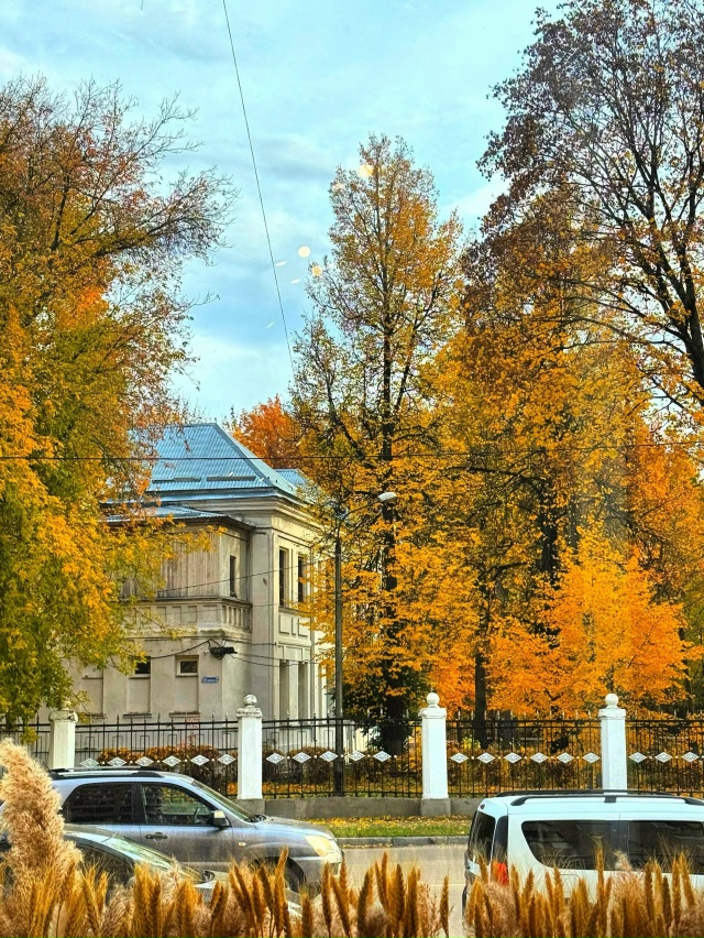 Какая красивая осень 🍂