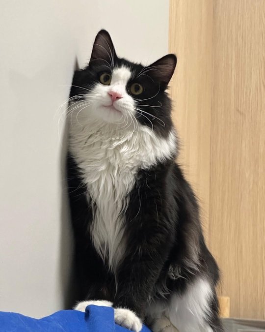 Как изменился малыш, которого я подобрал на улице… 🥺??...