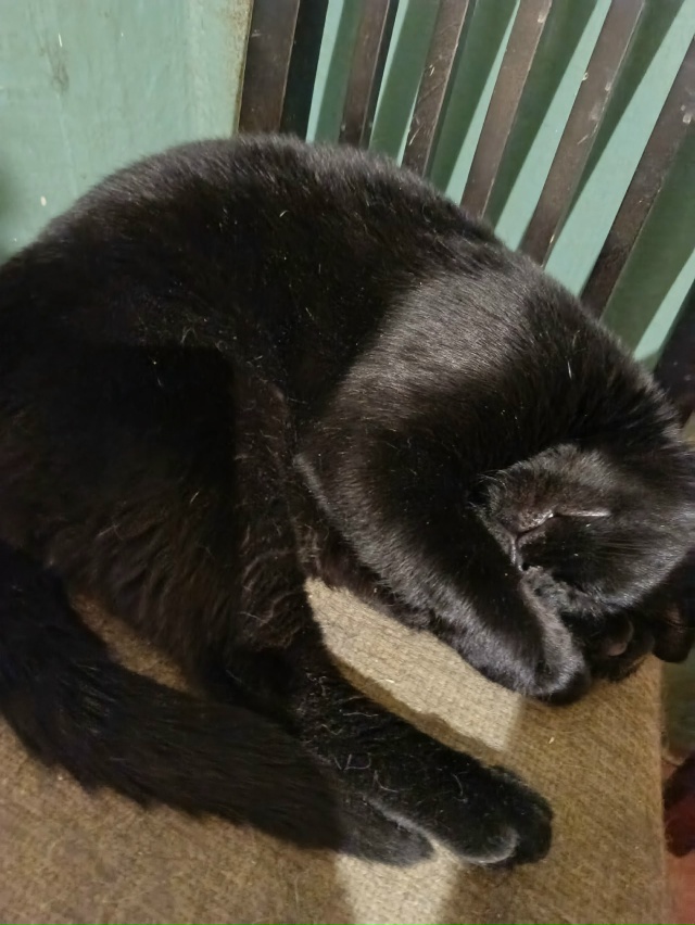 Самое милое, когда у него всё хорошо) когда он весел, иг?...