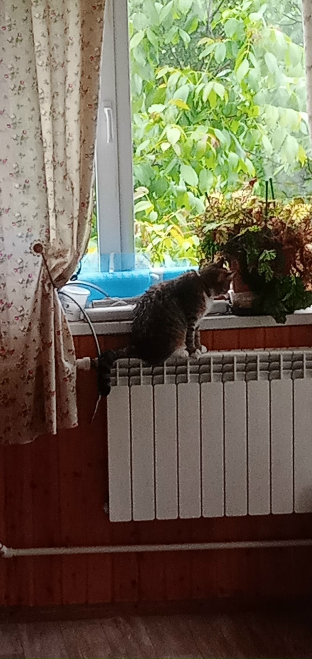 ООО!!!Тёпленькая пошла!