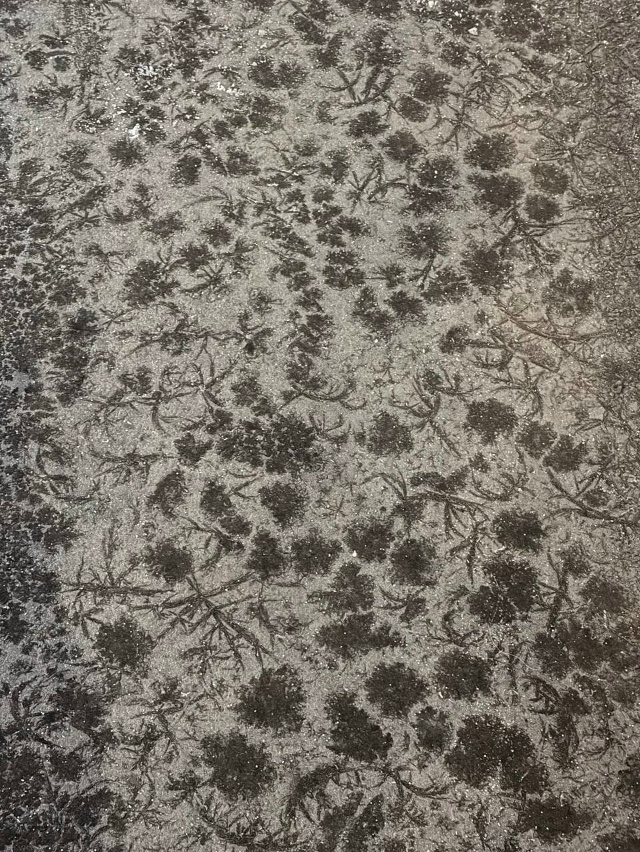 ❗Осторожно, красота под ногами
На ул. Революции трот?...