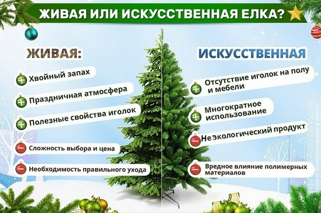 Какую ёлку вы предпочтёте на Новый год — живую или иск?...