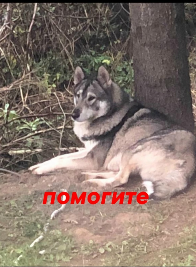 Пропустите, пожалуйста
🆘️🆘️🆘️🆘️🆘️🆘️🆘️🆘️?...