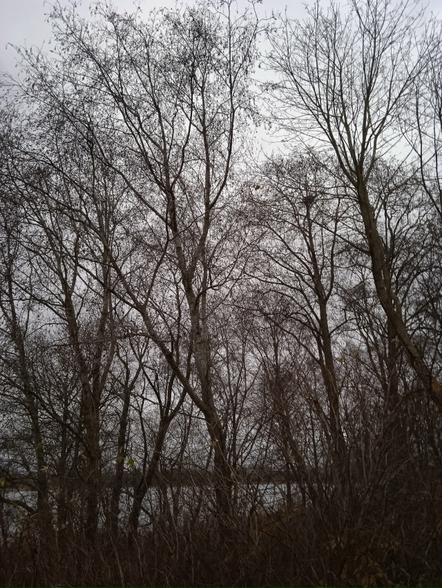 Доброго утра, Никольск❤