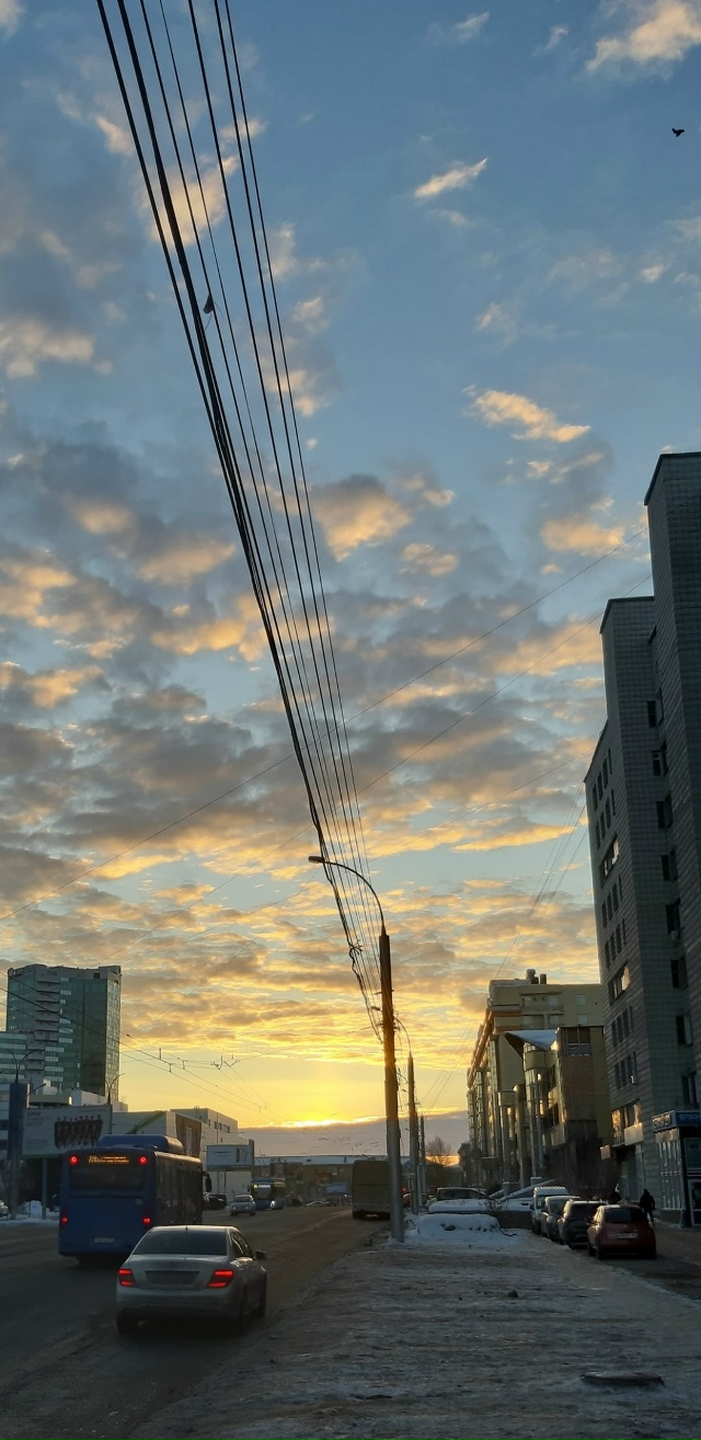 Πpeкpacнoe утpo в Ηoвocибиpcкe ☀️