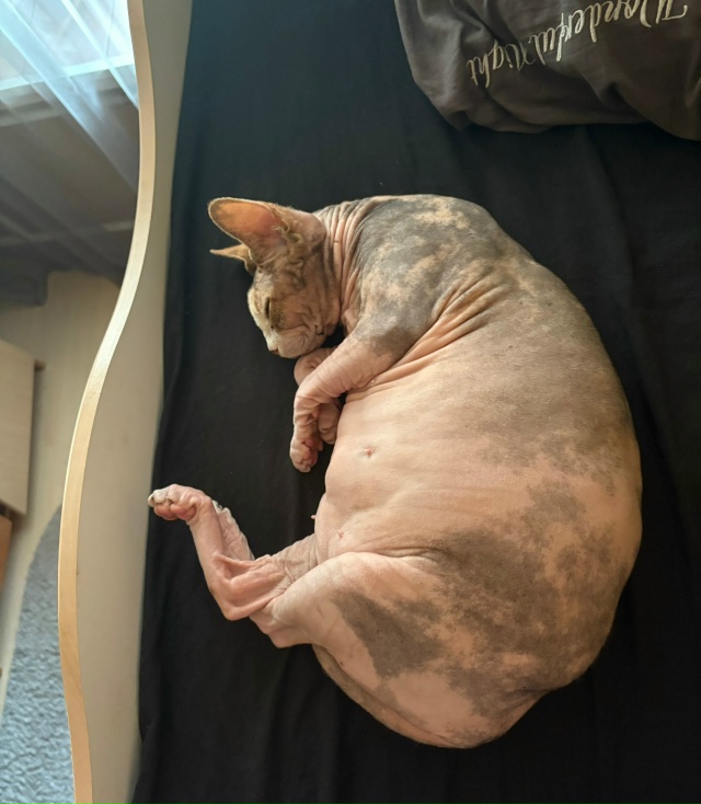 айзе за свои 12 лет довелось побывать в 3 городах, послед...