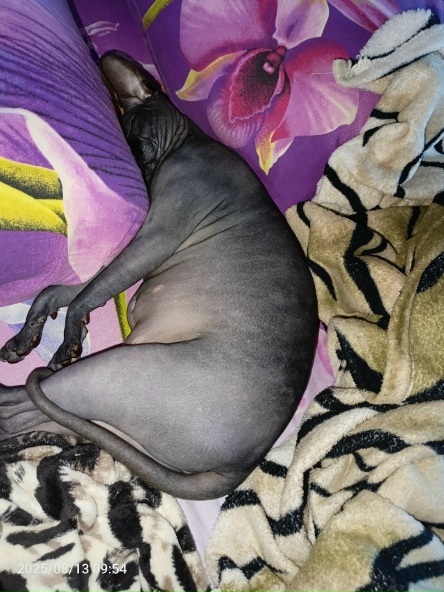 Моя всратая красотуля!