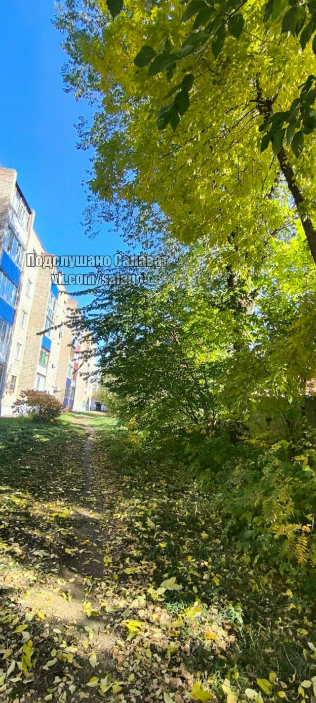 Осень в Салавате великолепна❤??