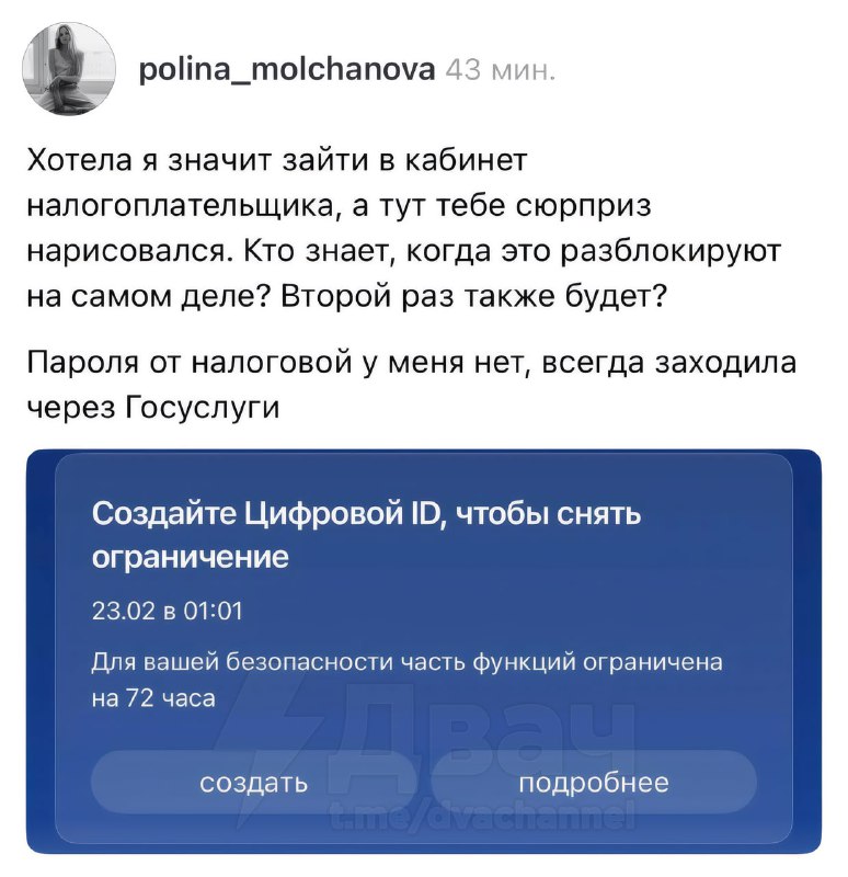 ⚡️У россиян массово отлетает доступ к «Госуслугам» — аккаунты улетают в бан на 72 часа из-за отсутст