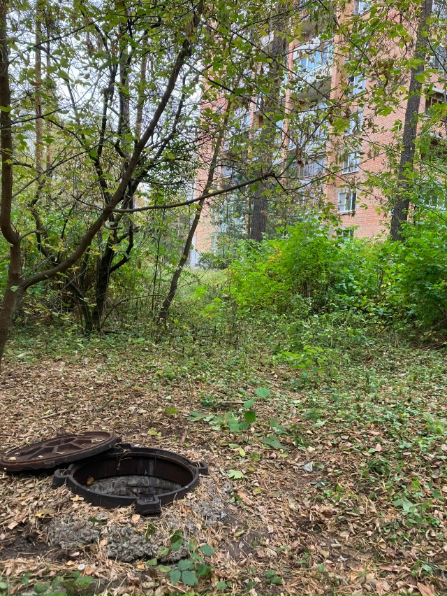 Возле Молодежной 7 на тропинке в лесу лежат 2 бревна, уж?...