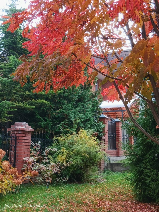 Несмотря на пасмурный октябрьский день четверга. ?
...