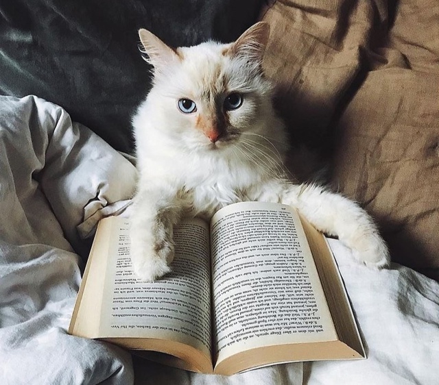 📚 Курская область признана самым читающим регионом Р?...