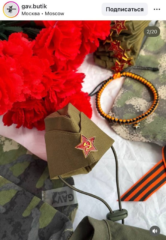 Готовьтесь умиляться: московский магазин для питомцев представил тематические аксессуары и одежду дл