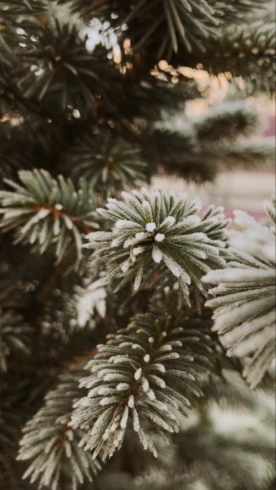 Вы достойны самого лучшего, поверьте. И не только в Нов?...