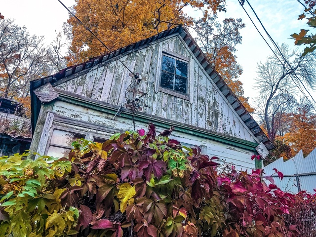 Осенний Воронеж, локация пос.Рыбачий🍁🍂