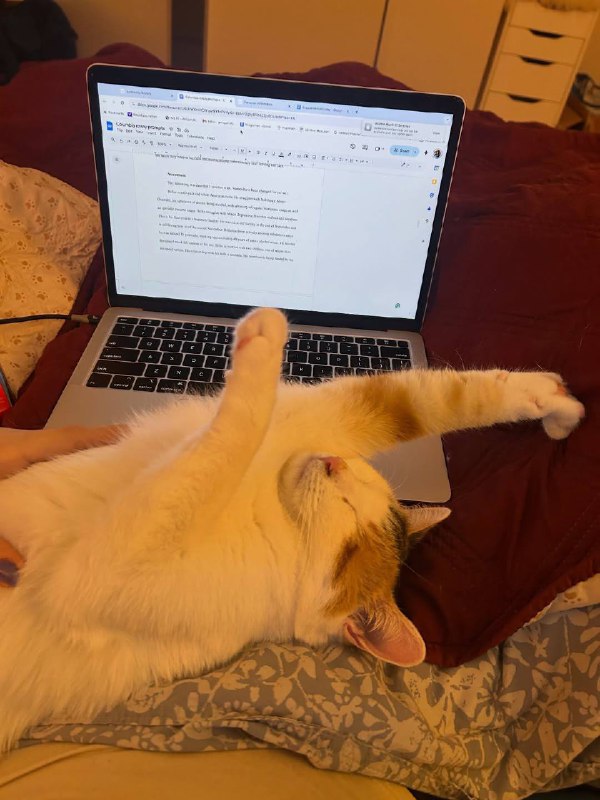 Рабкотаем изо всех сил