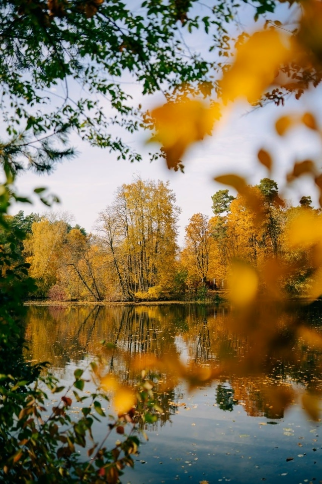 Осенние краски Серебрянoгo Бoра ❤