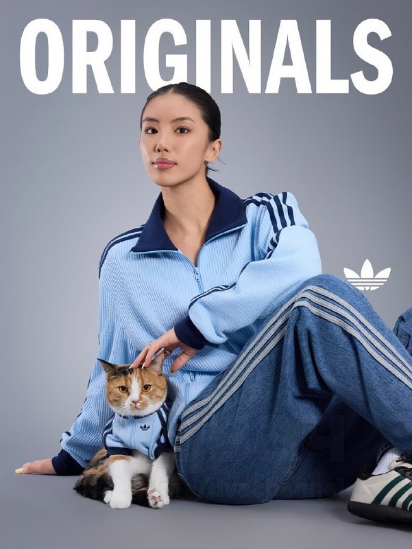 Adidas в Китае представил новую линейку одежды для питомцев — да, теперь есть осенне-зимние вещи для