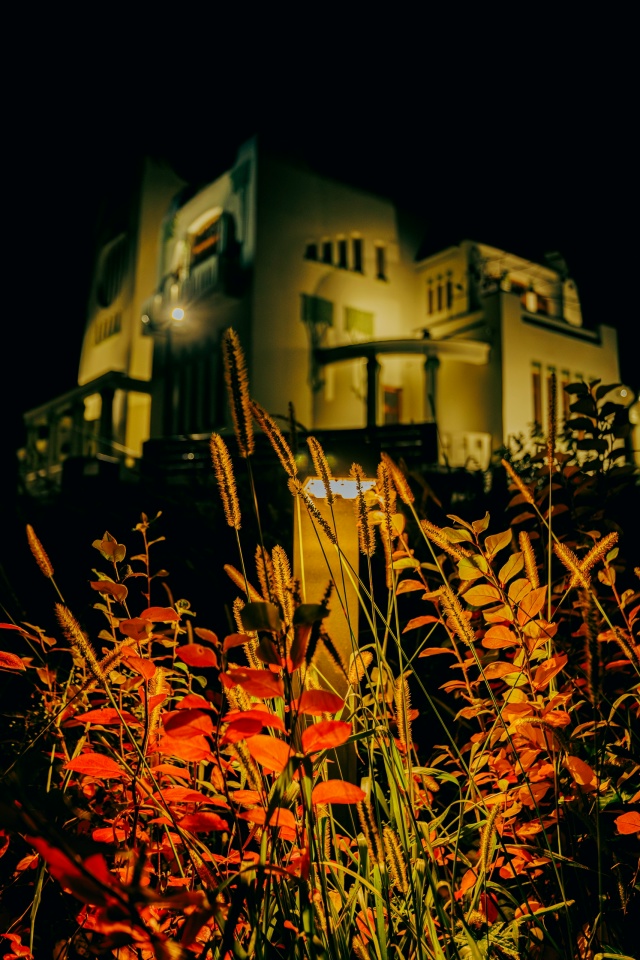 Безмолвная тишина на даче Константина Головкина