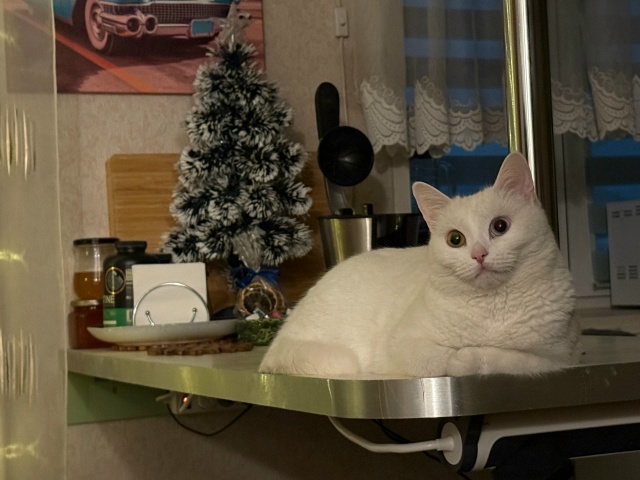 1. Эй, кожаный, вруби свет, а то мне темно лежать на столе...